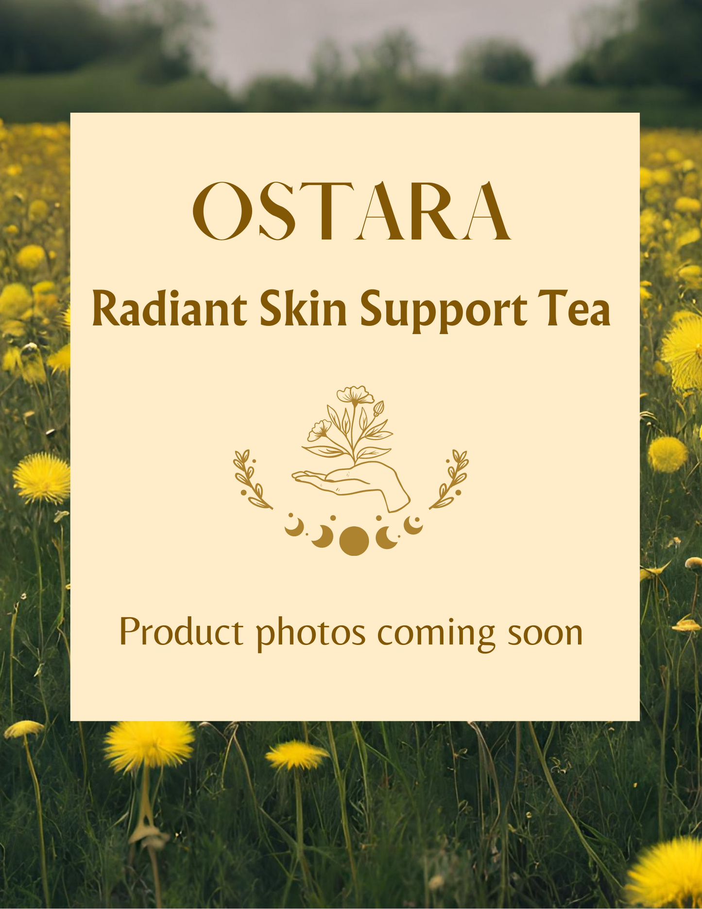 Ostara - Radiant Skin Support Tea