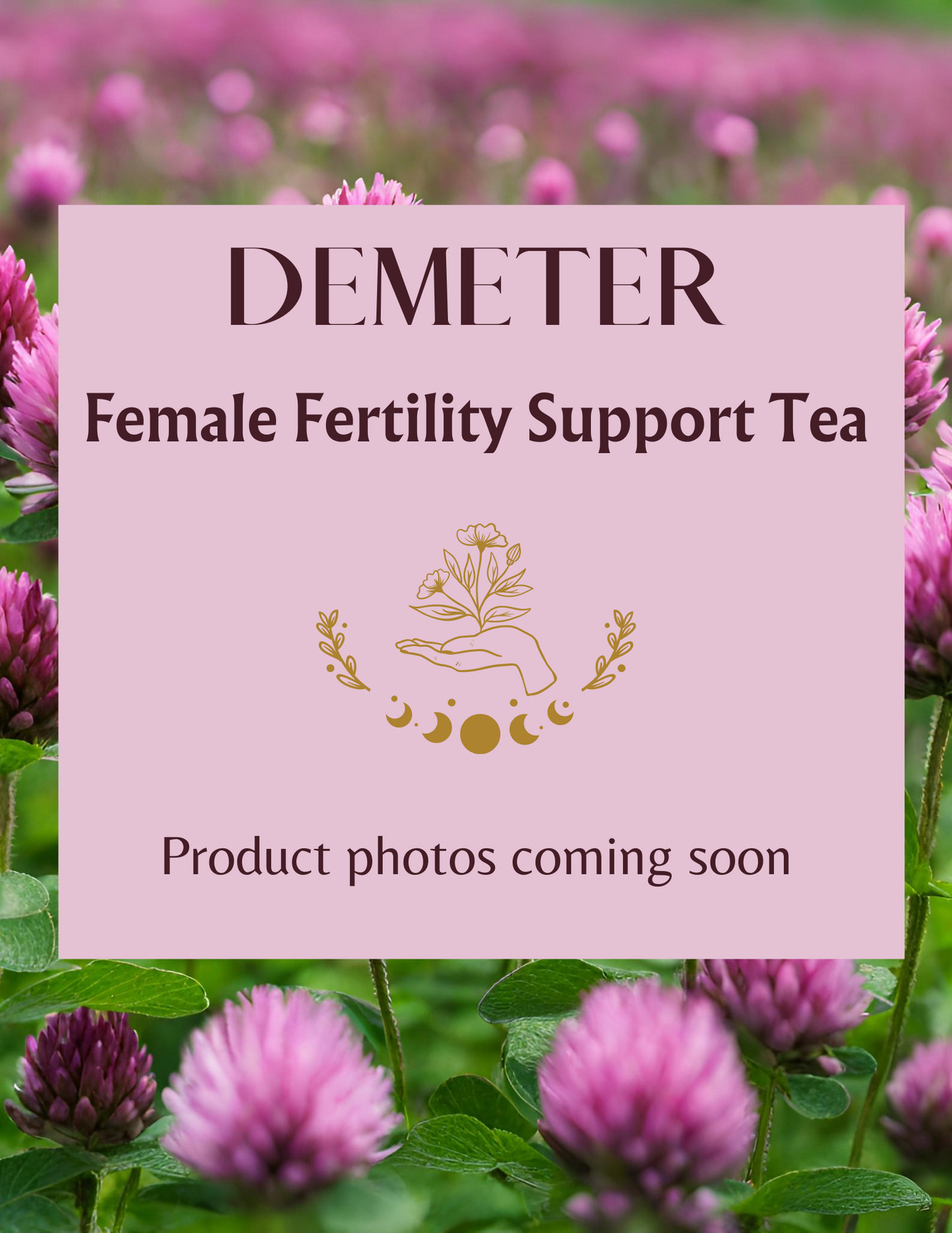 Demeter - Female Fertility Support Tea